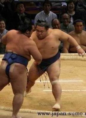 Озеки Тиетайкай. Ozeki Chiyotaikai.